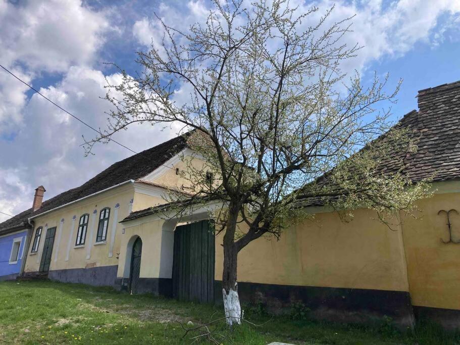 House By The Church - Entire House Szászkeresztúr Kültér fotó